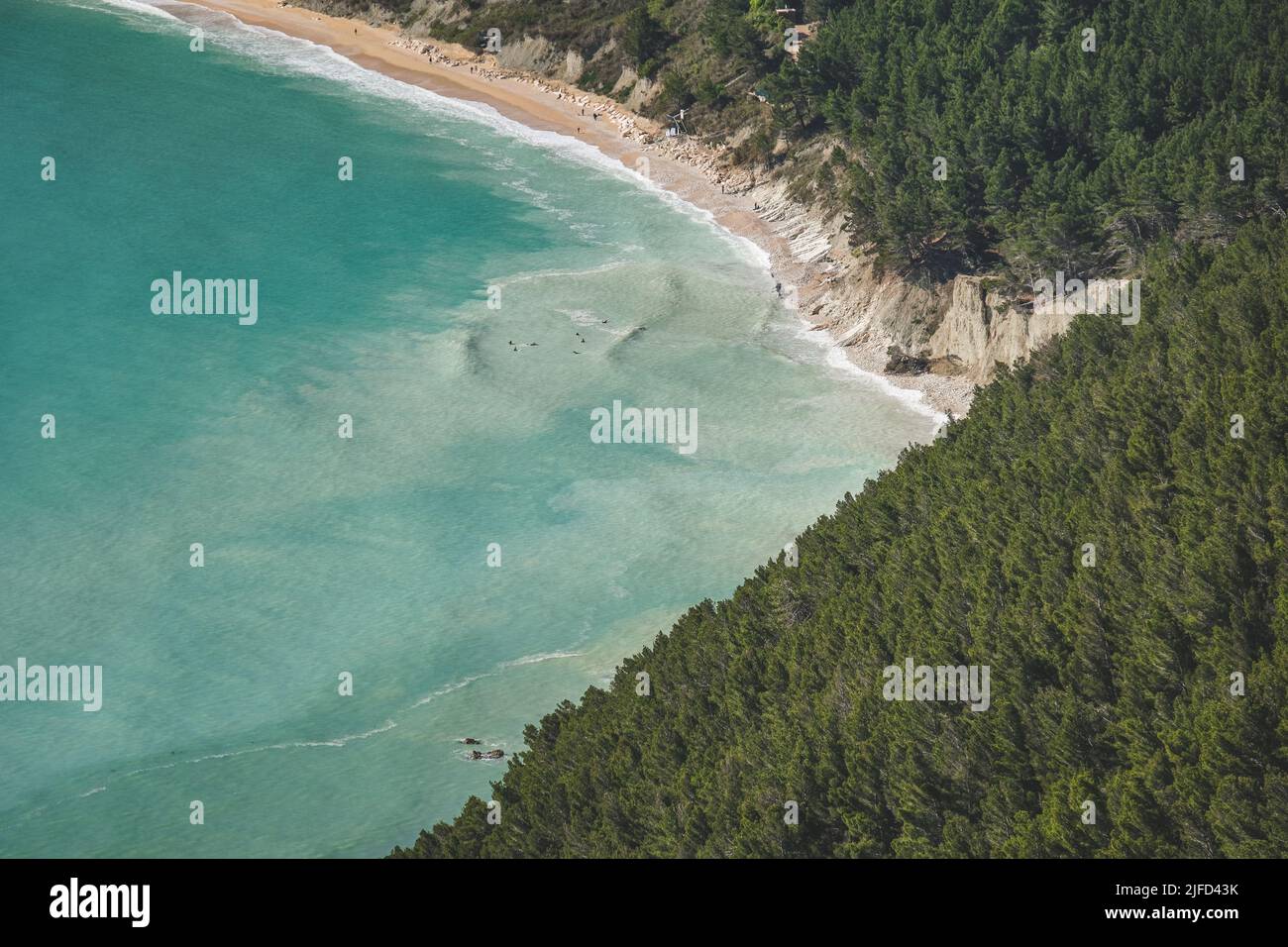 An aerial view of sandy beach surrounded by growing dense trees and ...
