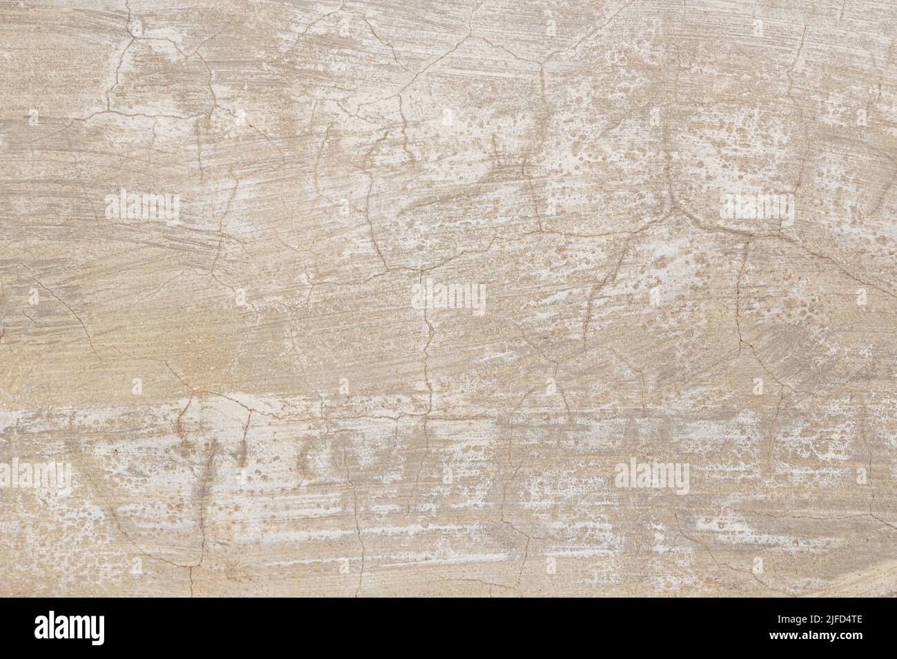 Hi res old grunge cement background and texture for design Stock Photo ...