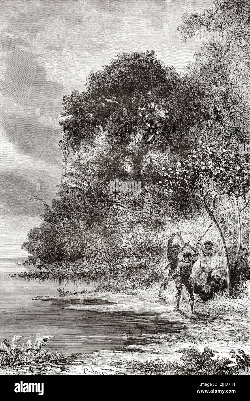 Men killing Three-toed sloth along Amazon river bank, Brazil. South America. Journey through South America, from the Pacific Ocean to the Atlantic Ocean by Paul Marcoy 1848-1860 from Le Tour du Monde 1867 Stock Photo