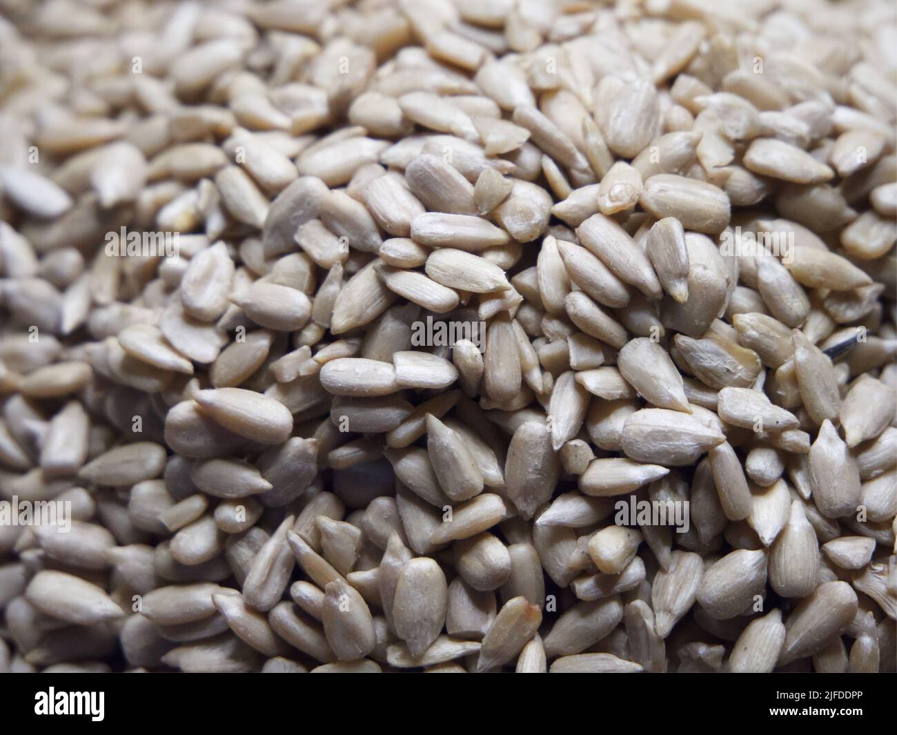 Lots of peeled sunflower seeds close-up. Heap of seeds Stock Photo