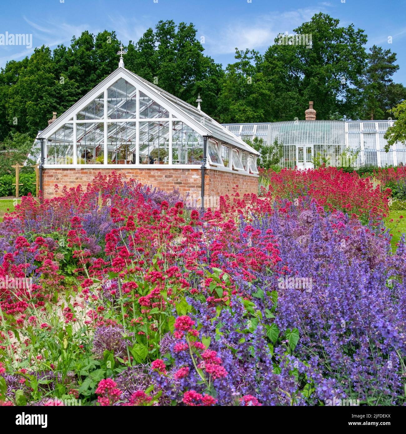 Greenhouse and colorful flowers in a garden in northwest England. Stock Photo