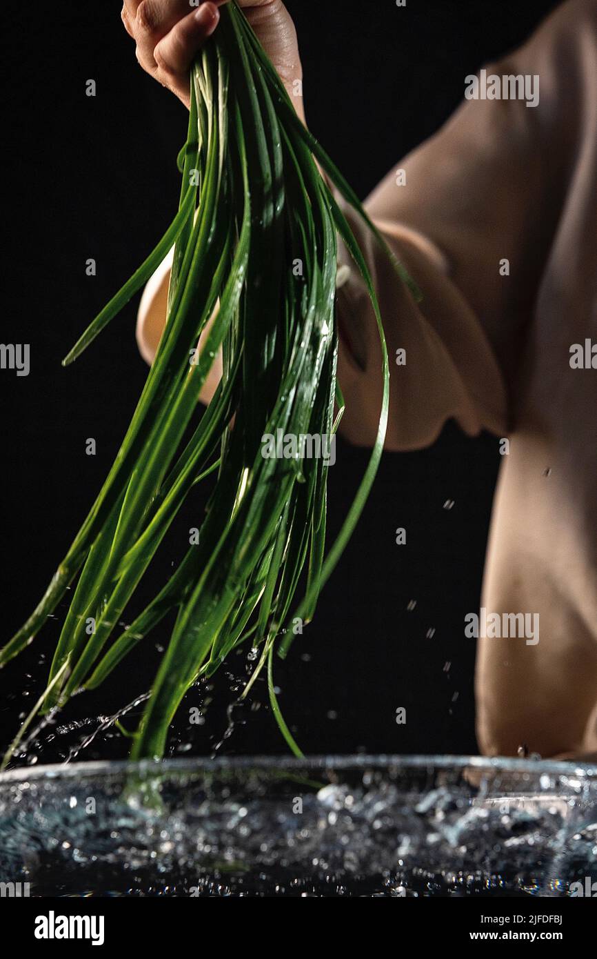 Cleaning fragrant-flowered garlic, Chinese chives, leeks, the process of making traditional Chinese food dumplings - stock photo Stock Photo