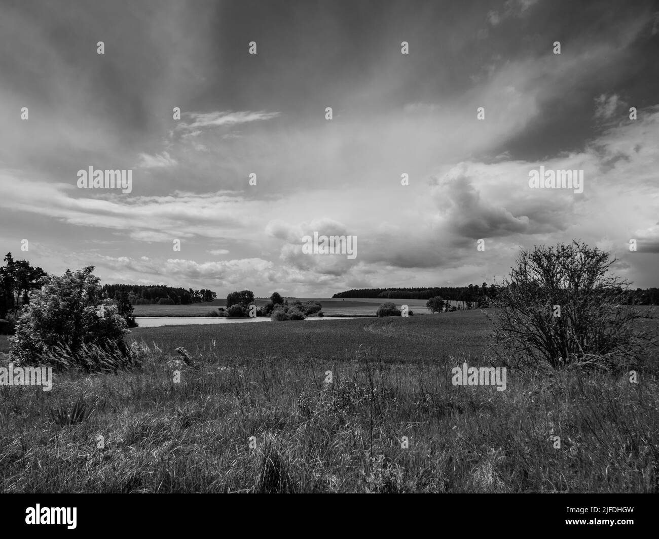 Bohemian Landscape with Pond near Malkovice, Czech Republic in Black and White Stock Photo