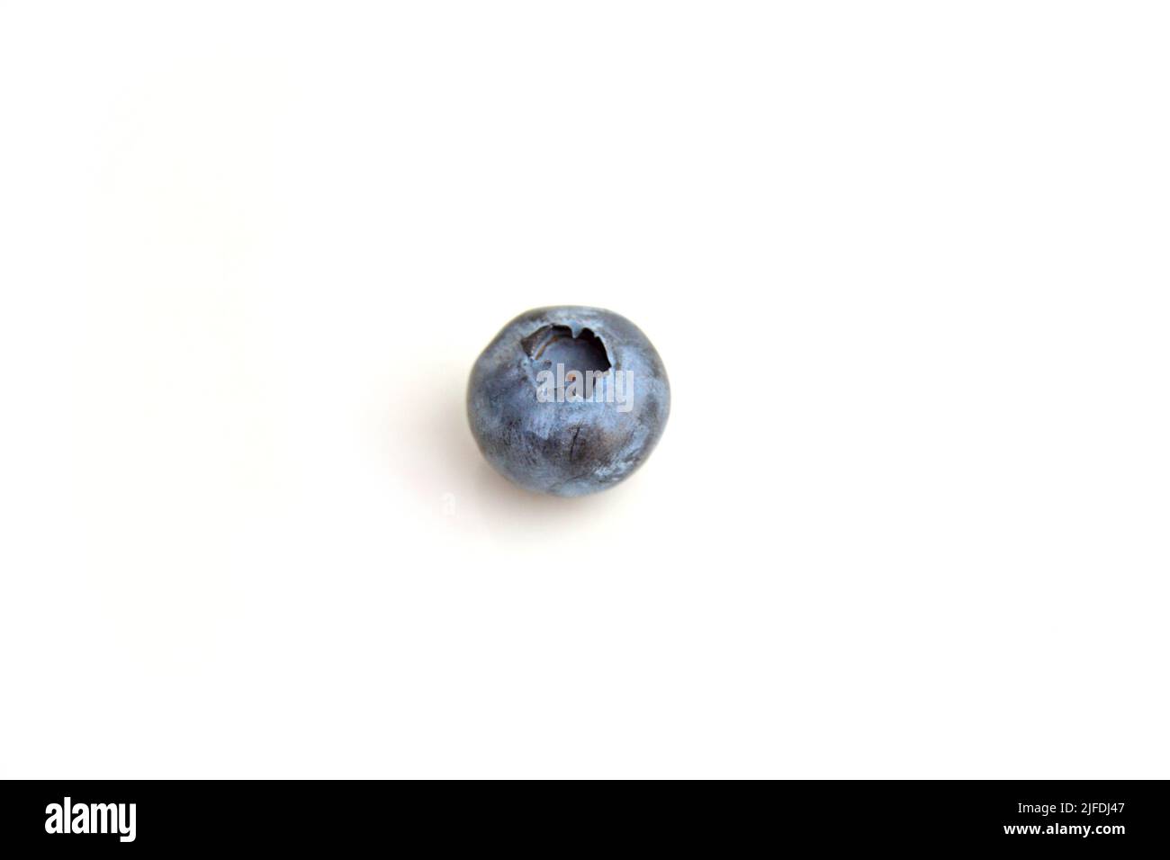 Single blueberry berry isolated on white background. Blueberry with clipping path. Full depth of field. Stock Photo