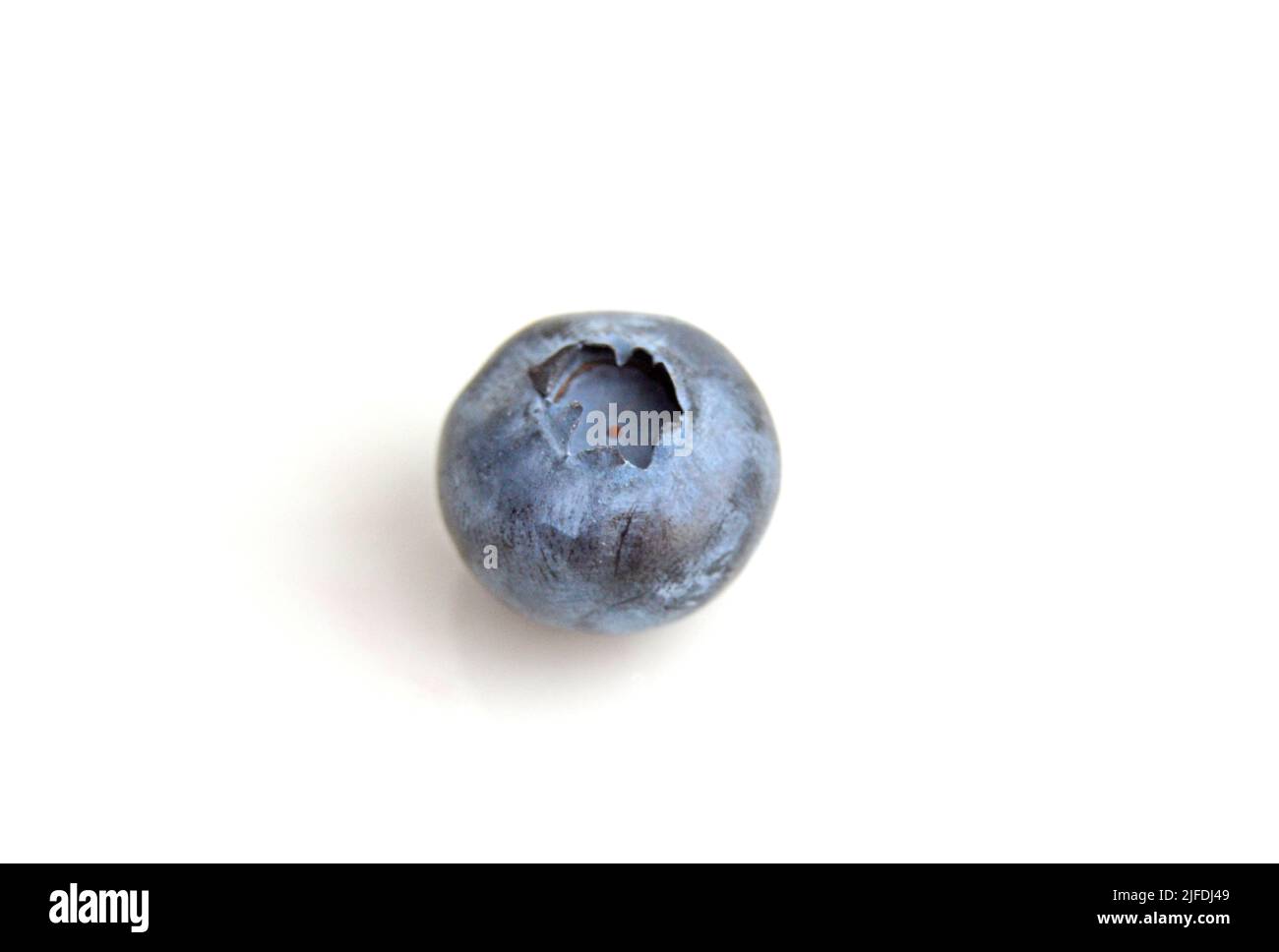 Single blueberry berry isolated on white background. Blueberry with clipping path. Full depth of field. Stock Photo
