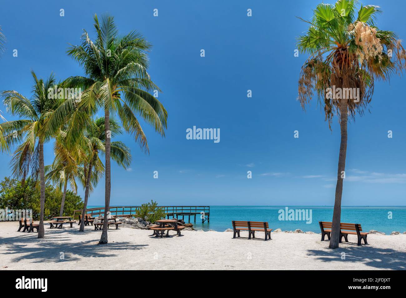 Palm trees in sunset beach state park in tropical island in Florida Keys Stock Photo