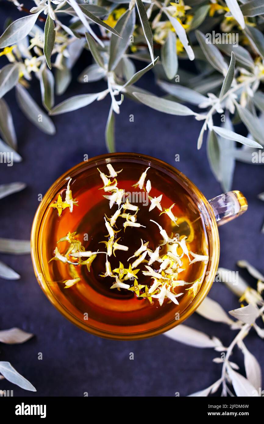 sea buckthorn tea. Sea buckthorn branches Stock Photo - Alamy
