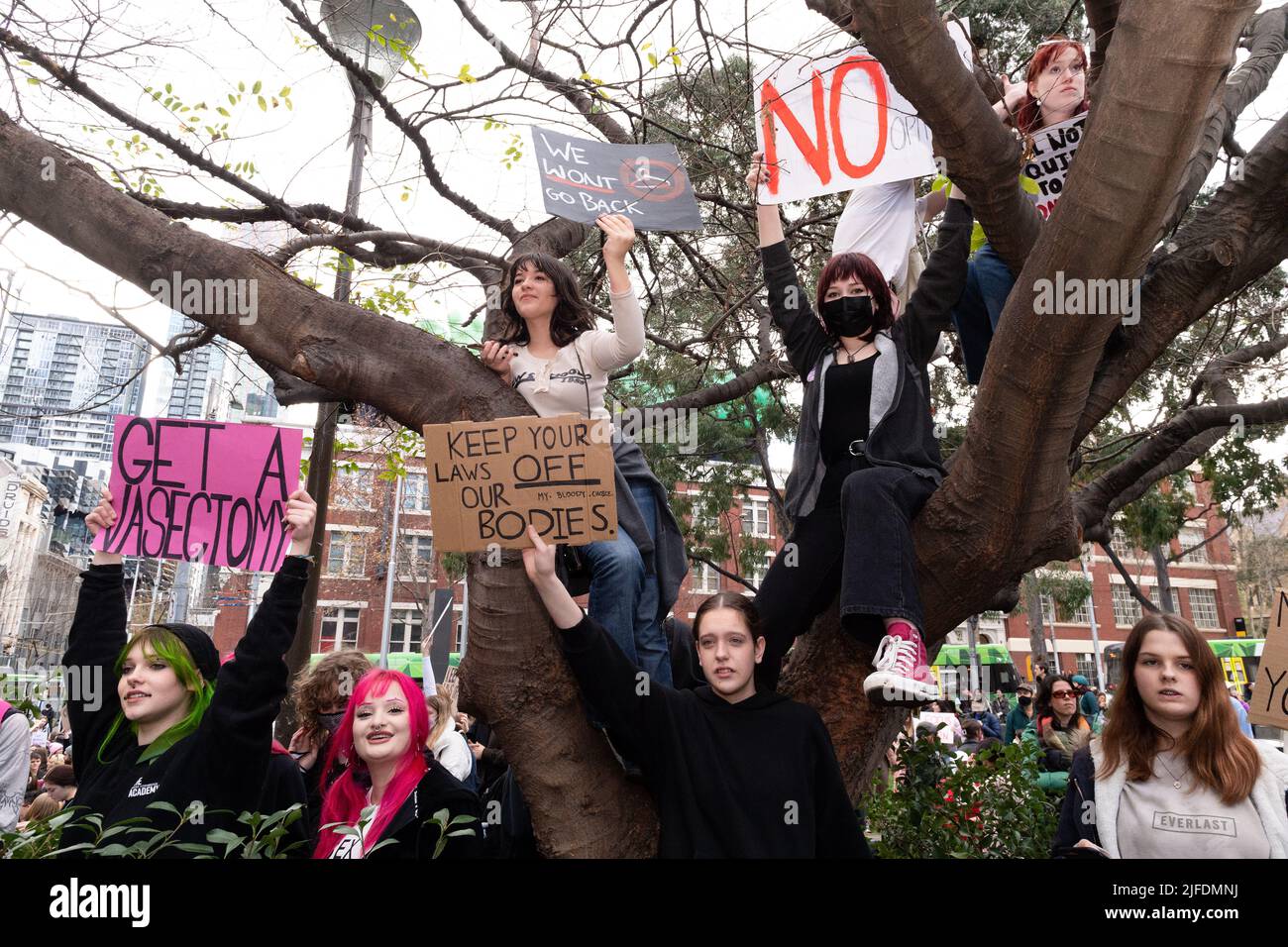 Melbourne, Australia, 2 July, 2022. Pro-choice demonstrators with a placards in a tree at the State Library during a pro-choice protest in Melbourne that was held in reaction to the US Supreme Court's decision to overturn Roe v. Wade and abolish the constitutional right to abortion in the USA. Credit: Michael Currie/Speed Media/Alamy Live News Stock Photo