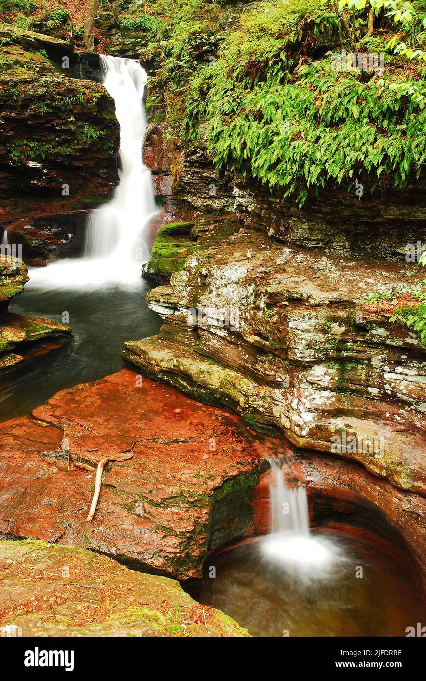 Adams Falls, a waterfall in Ricketts Glenn State Park, Pennsylvania