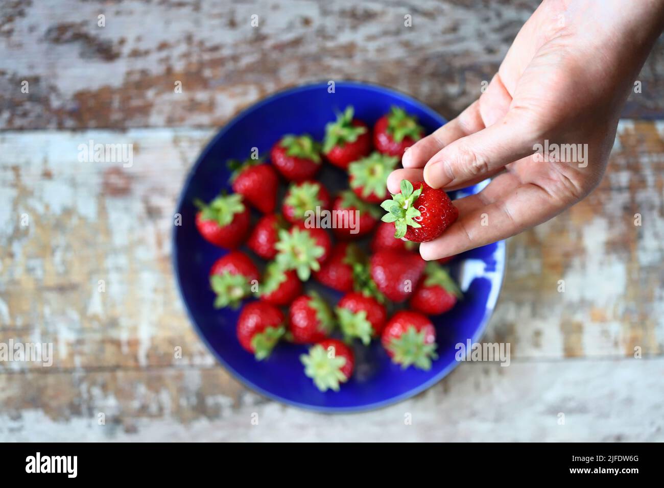 Fresh ripe strawberry in hand. Macro. Selective focus. Stock Photo
