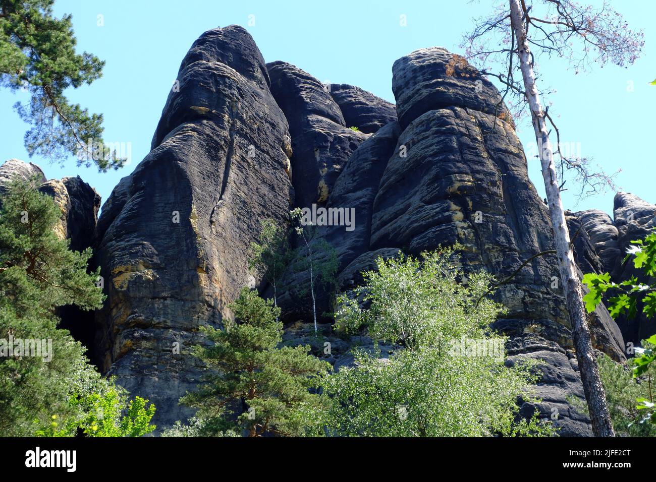 Sandstone rock formations seen from the Elbleitweg in the Sächsische Schweiz National Park. Stock Photo