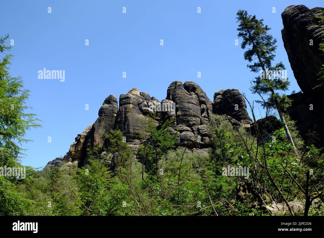 Sandstone rock formations seen from the Elbleitweg in the Sächsische Schweiz National Park. Stock Photo