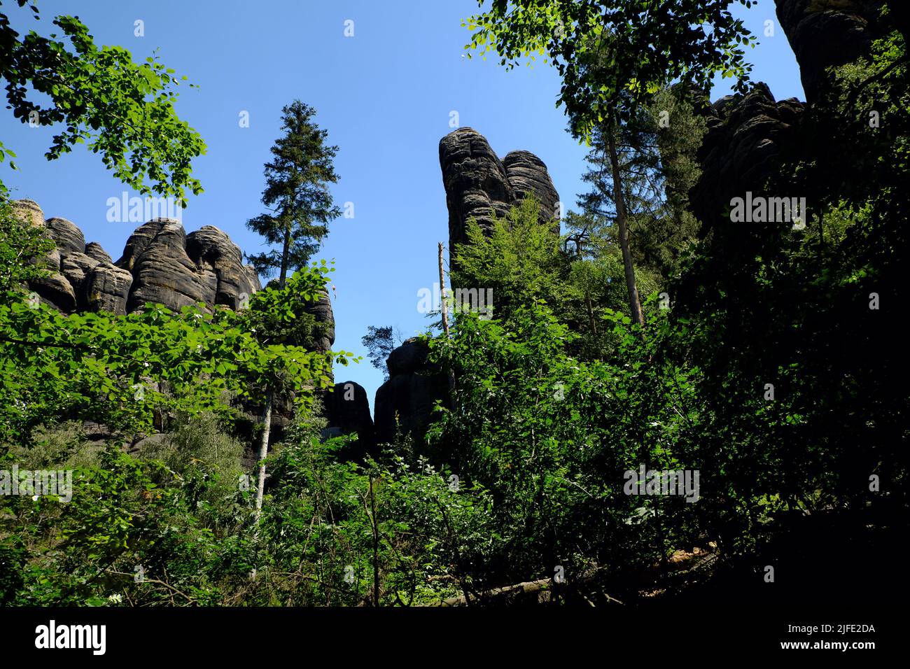 Sandstone rock formations seen from the Elbleitweg in the Sächsische Schweiz National Park. Stock Photo