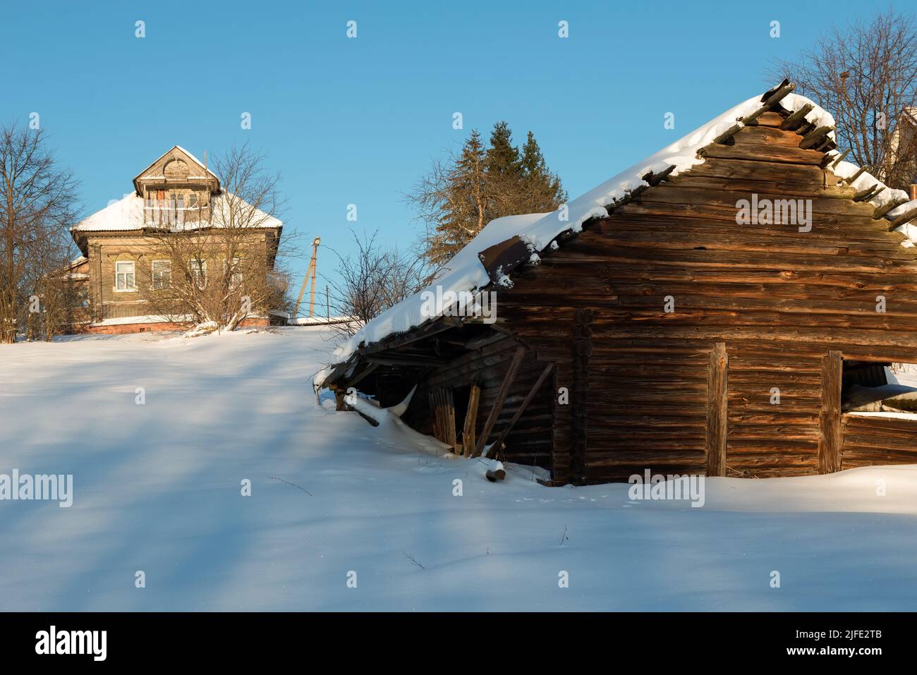 Rotten tree winter hi-res stock photography and images - Alamy