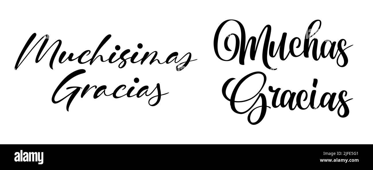 Gracias calligraphy spanish text. Lettering postcard design in script style. Vector isolated illustration Stock Vector