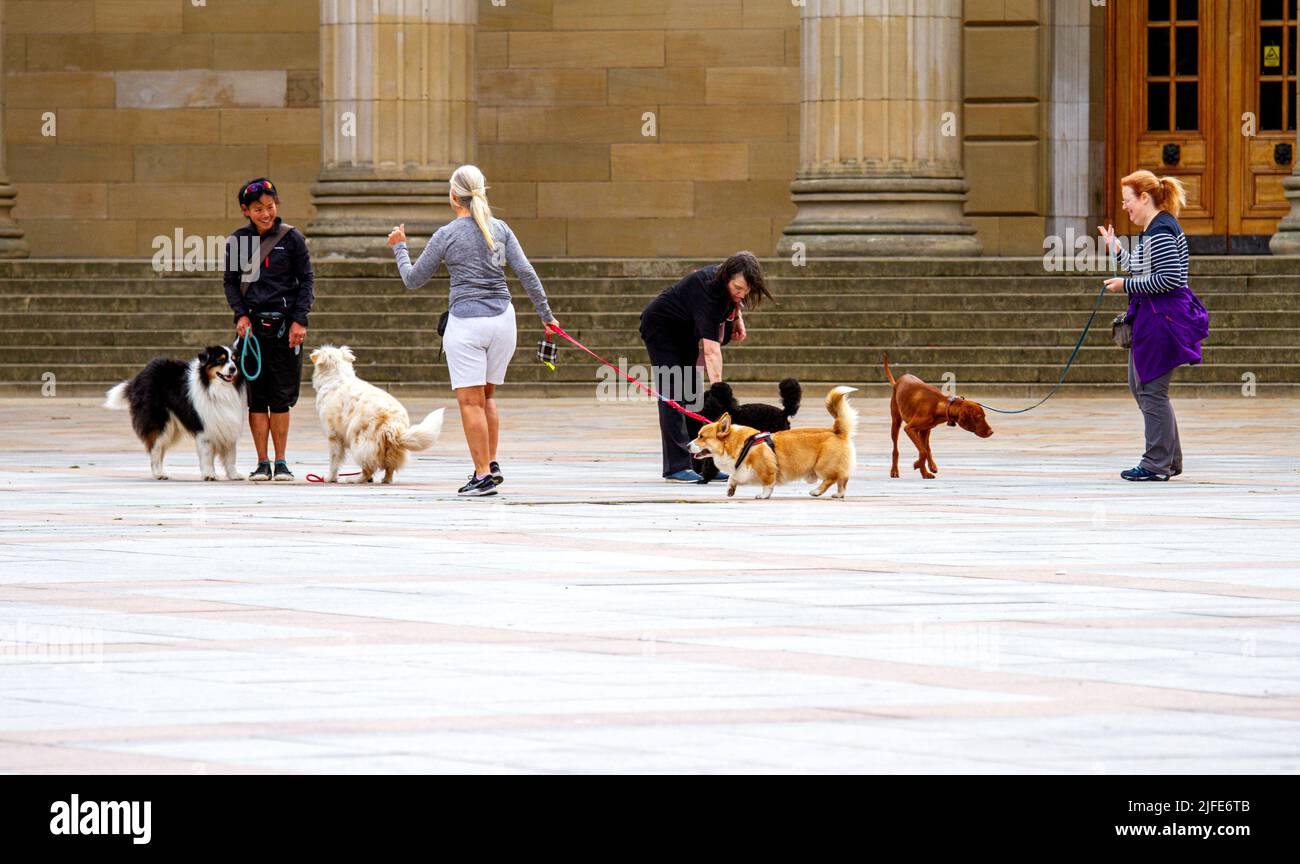 Dog trainer dog trainers hires stock photography and images Alamy