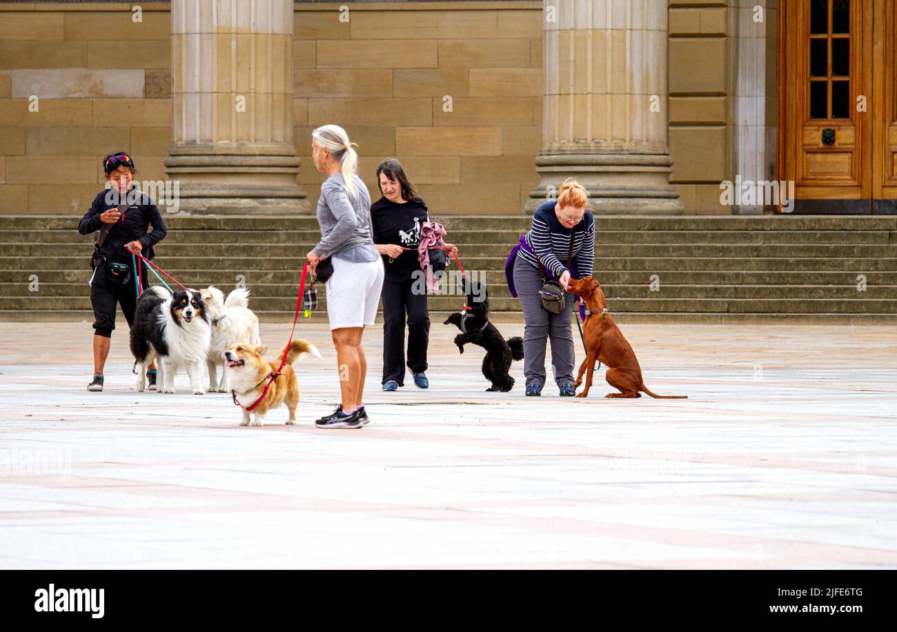 Dog trainer dog trainers hires stock photography and images Alamy