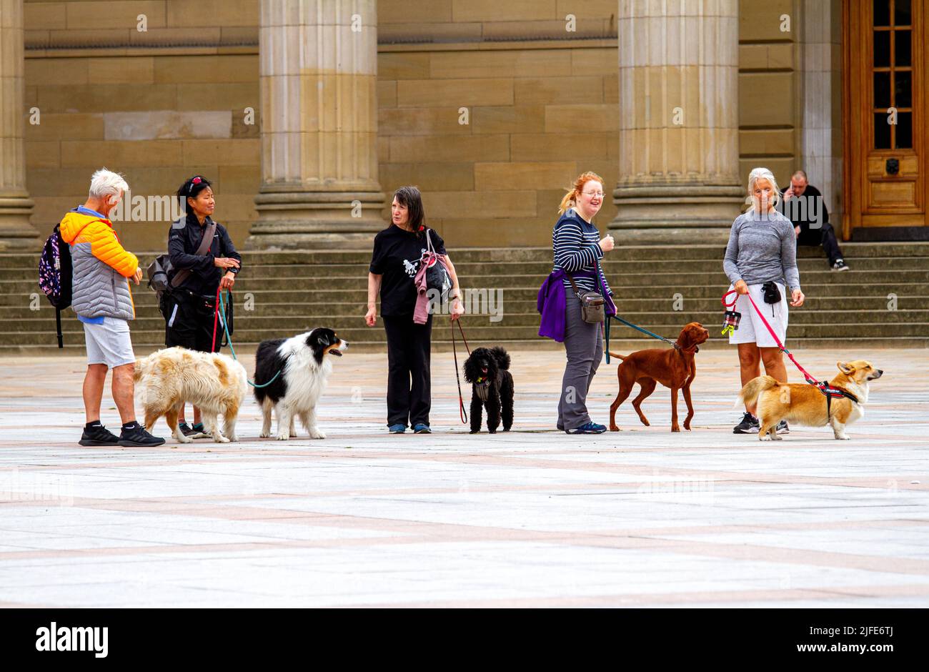 Dog trainer dog trainers hires stock photography and images Alamy