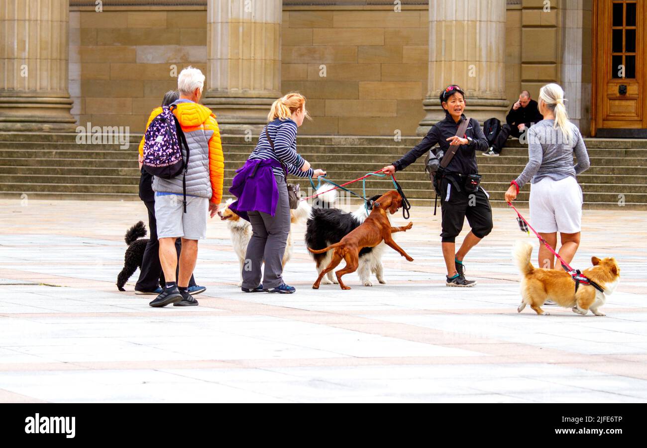 Dog trainer dog trainers hires stock photography and images Alamy