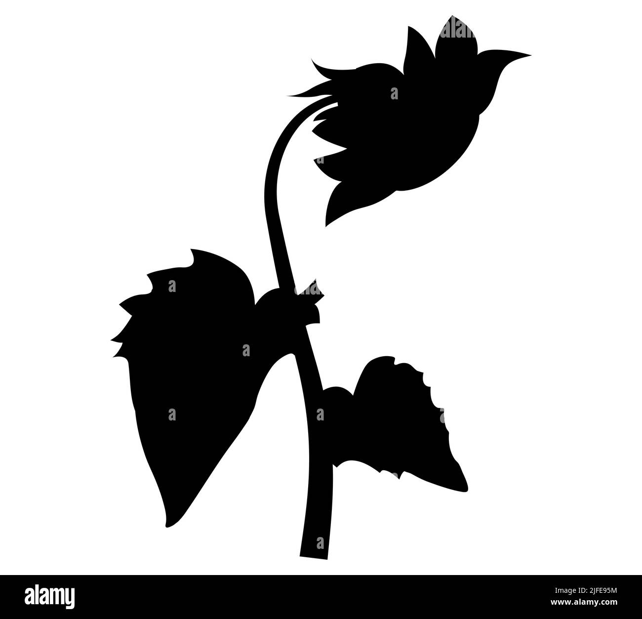 Isolated vector illustration. Sunflower plant. Black and white silhouette. Stock Vector