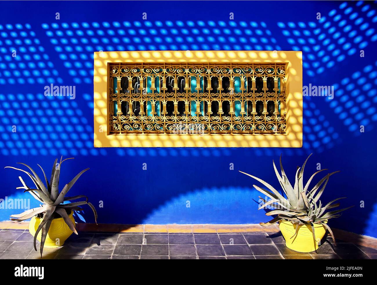 Two yellow flower pot of aloe on the background of blue wall with yellow window.  Majorelle garden in Marrakesh, Morocco Stock Photo