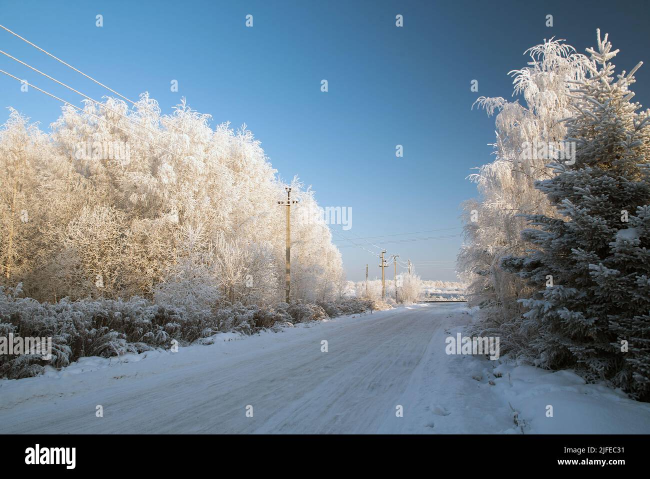 Winter landscape with snowy trees and blue sky Stock Photo - Alamy