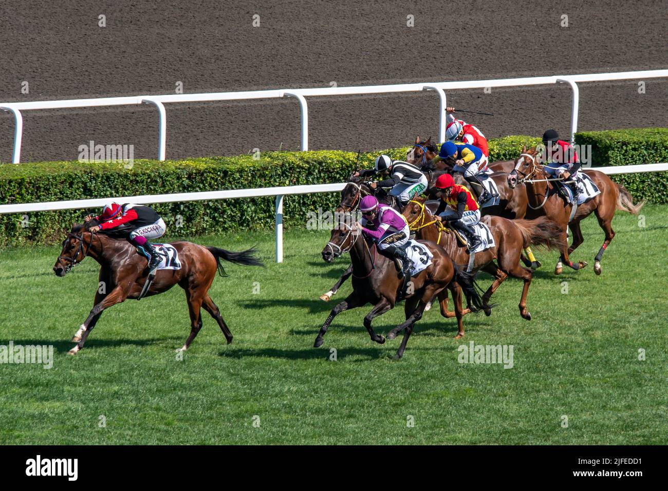 Istanbul horse race hi-res stock photography and images - Alamy