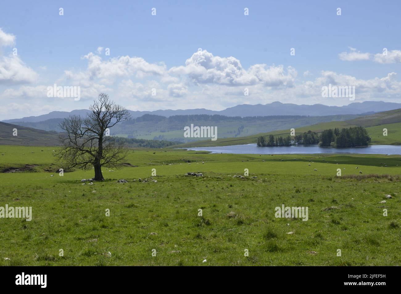 The landscape at Glen Tilt near Blair Atholl in the Scottish Highlands Stock Photo