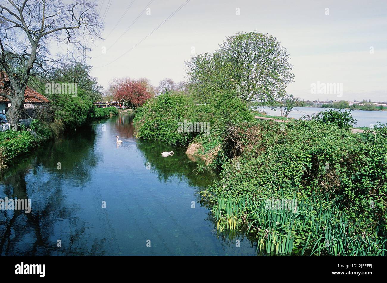The Coppermill Stream in springtime on Walthamstow Marshes, near Tottenham Hale, North London, UK Stock Photo