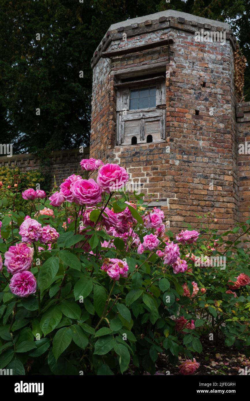 Garden Benthall Hall Stock Photo Alamy