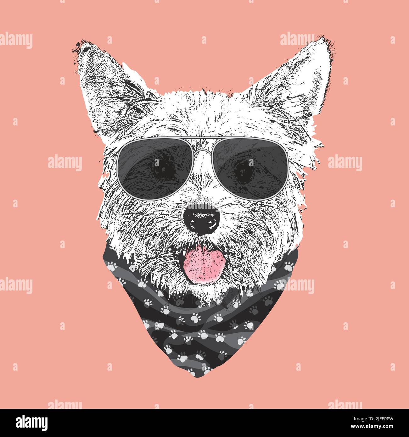 Yorkshire Terrier portrait, Cute cool dog in glasses and bandana