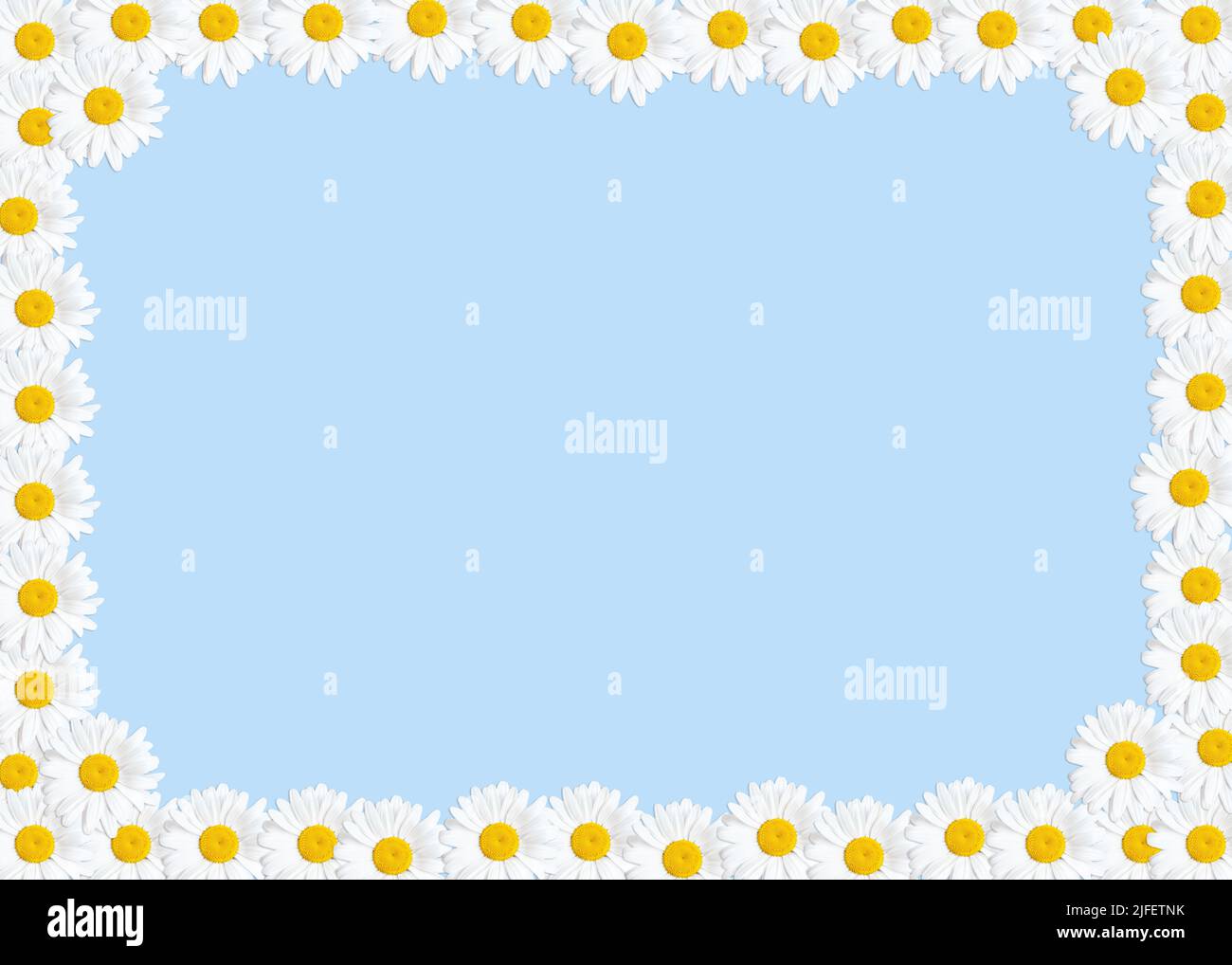 Vivid springtime background with a floral frame made from daisies. Stock Photo