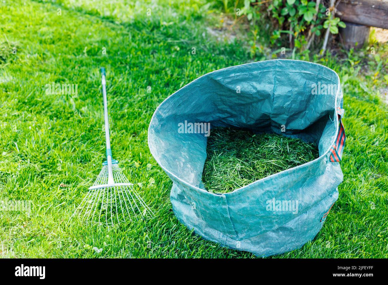 Fresh natural cut grass in blue bag with rake on green lawn. Preparing future compost, eco organic fertilizer. Recycling Stock Photo