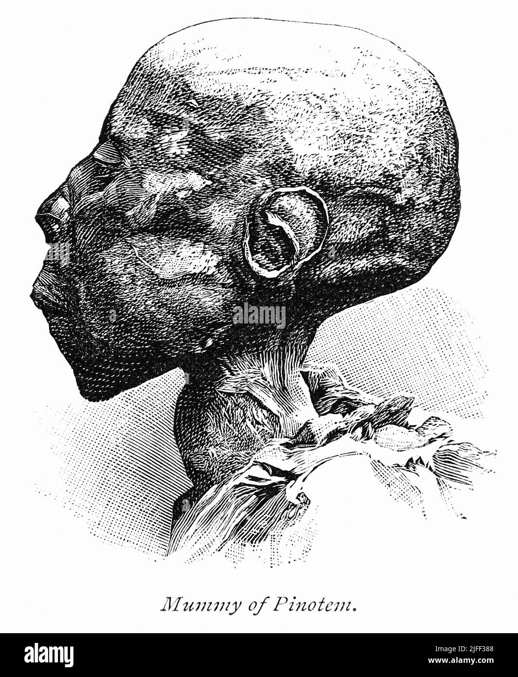 Mummy of Pinotem, Illustration from the Book, 'From Pharaoh to Fellah' by C.F. Moberly Bell with Illustrations by Georges Montbard, engraved by Charles Barbant, Wells Gardner, Darton, & Co., London, 1888 Stock Photo