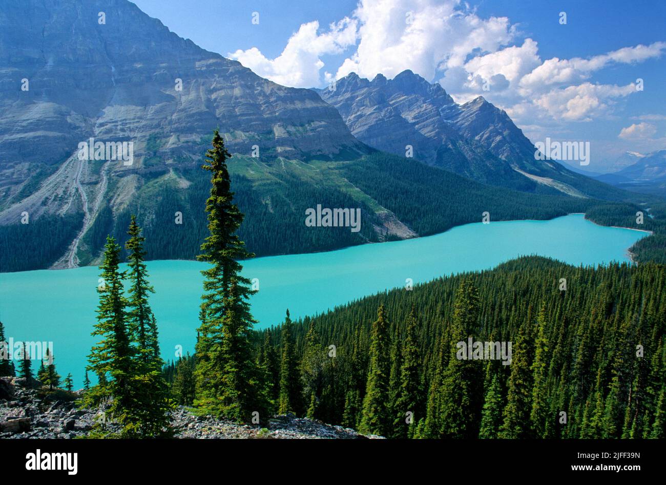 Peyto Lake as seen from Bow Summit in Banff National Park, Alberta, Canada Stock Photo