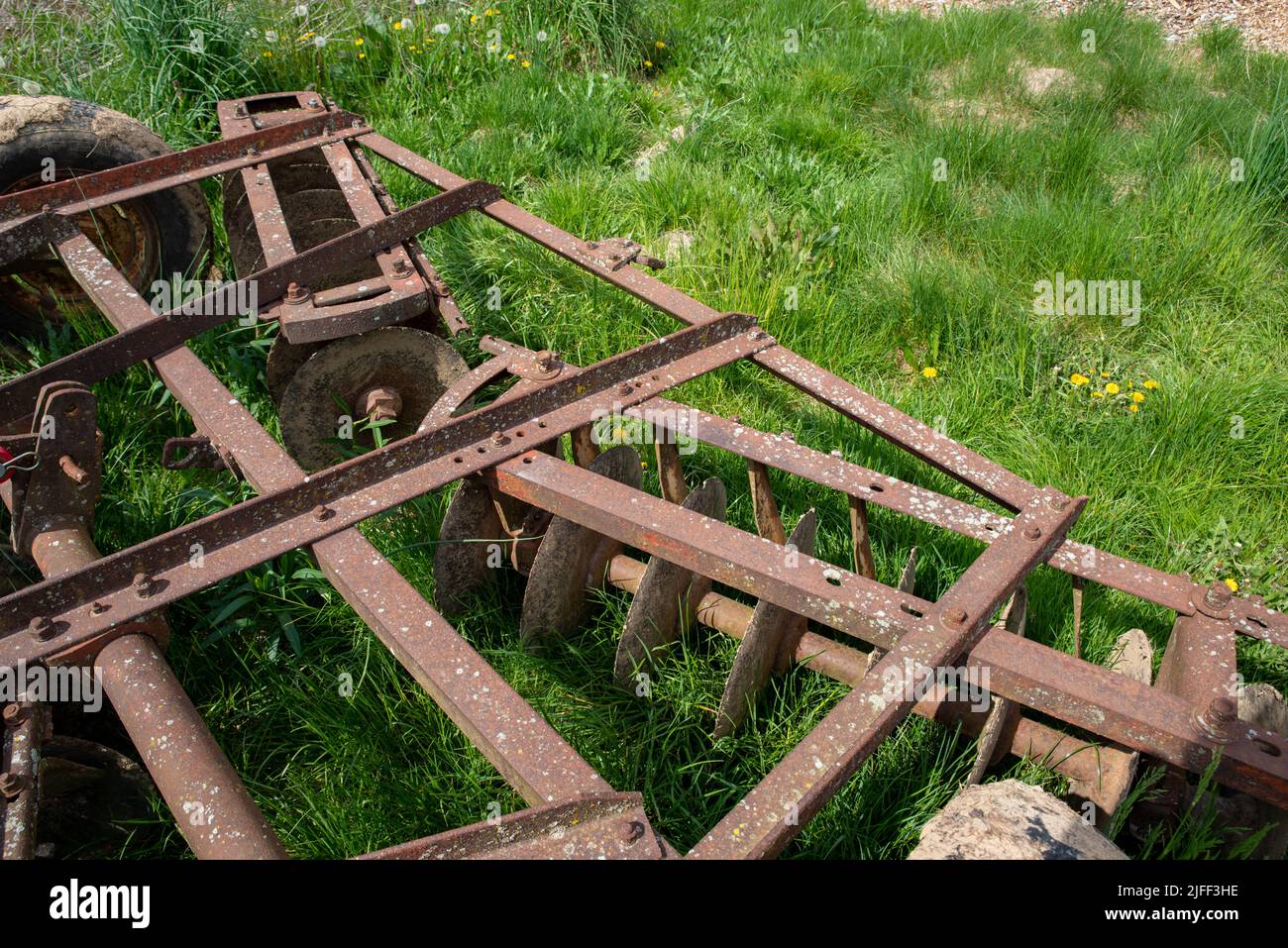 Antique disc harrow agricultural farm implement in green meadow Stock Photo