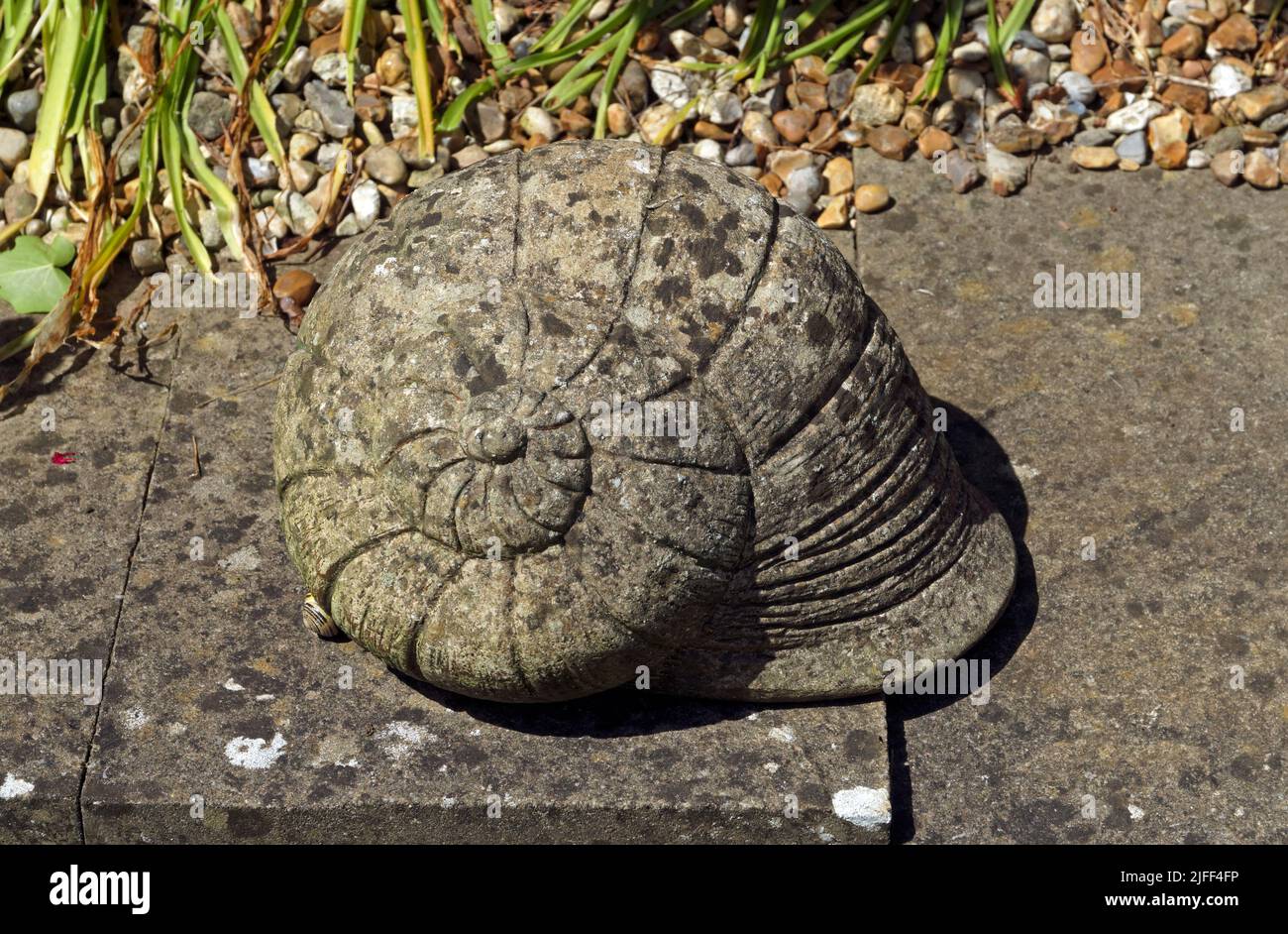 Large concrete snail garden ornament Stock Photo Alamy
