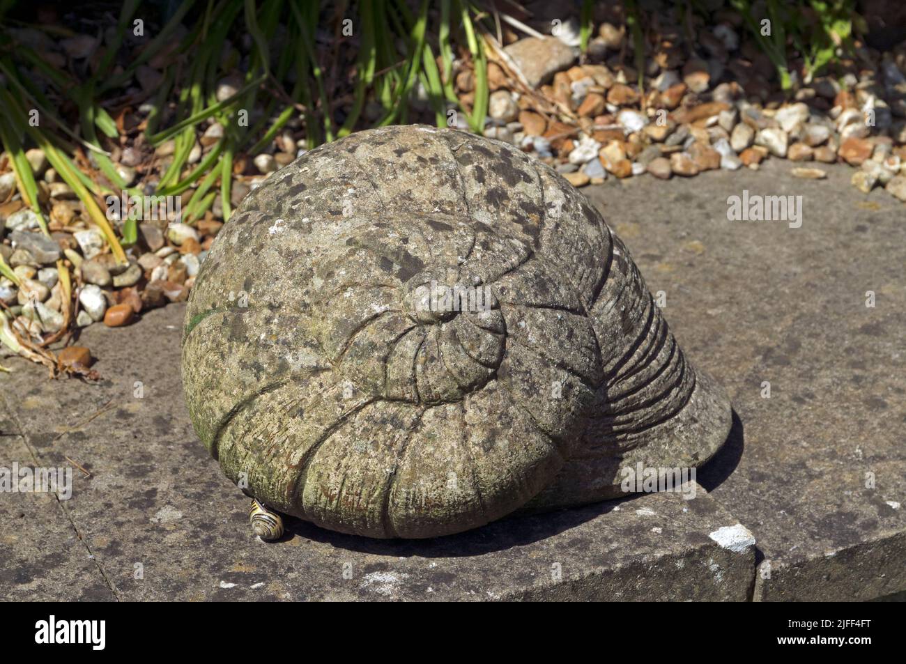 Large concrete snail garden ornament Stock Photo Alamy