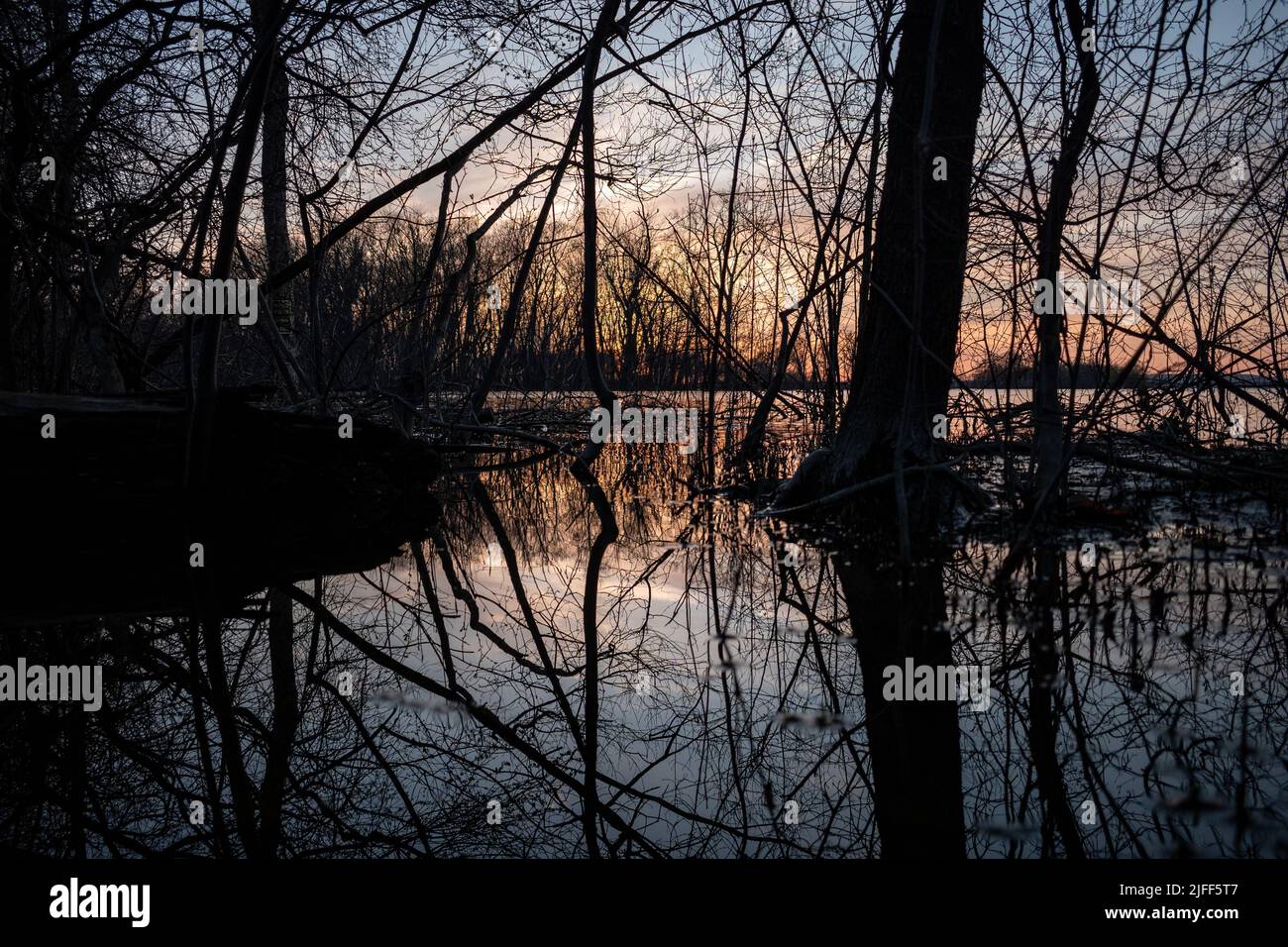 View through the trees of lake surrounded by trees, reflection of sun ...