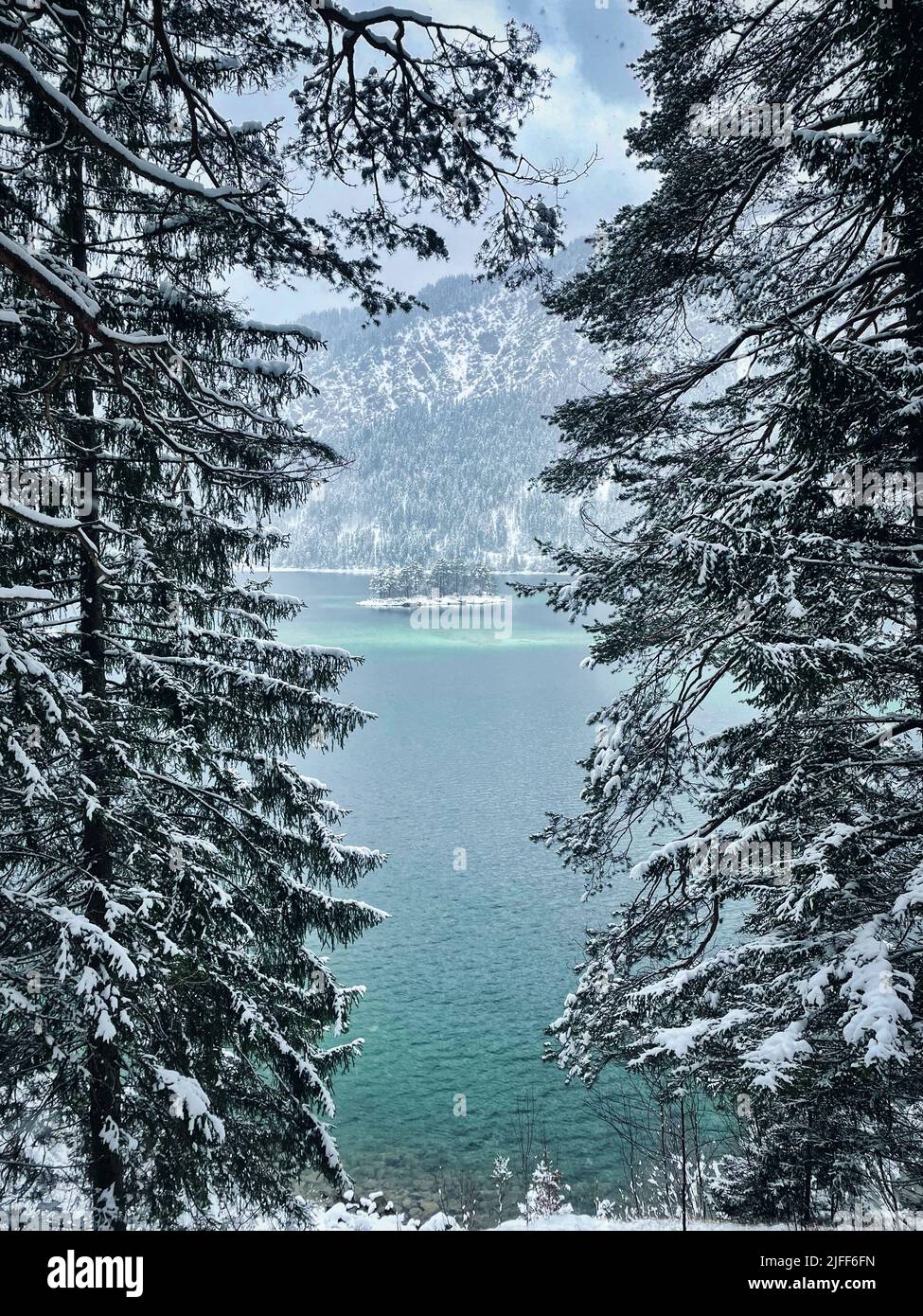 A vertical shot through snowy trees in the background of a lake Stock ...