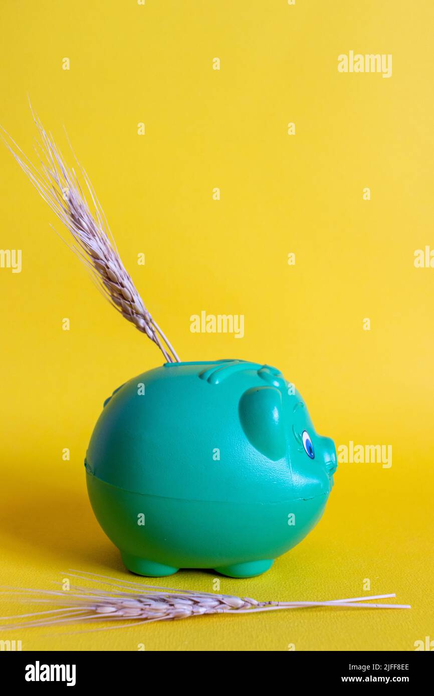 World food crisis concept : piggy bank with wheat spikes on a yellow background Stock Photo