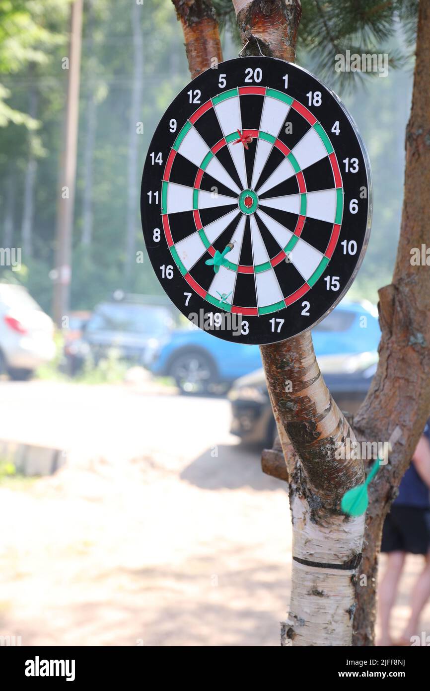 Photo of a dart board hanging from a tree Stock Photo Alamy