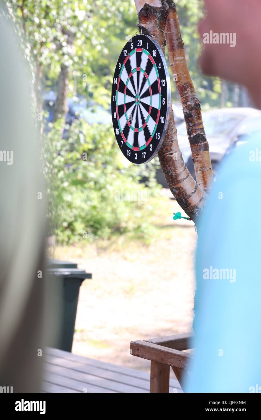 Photo of a dart board hanging from a tree Stock Photo Alamy