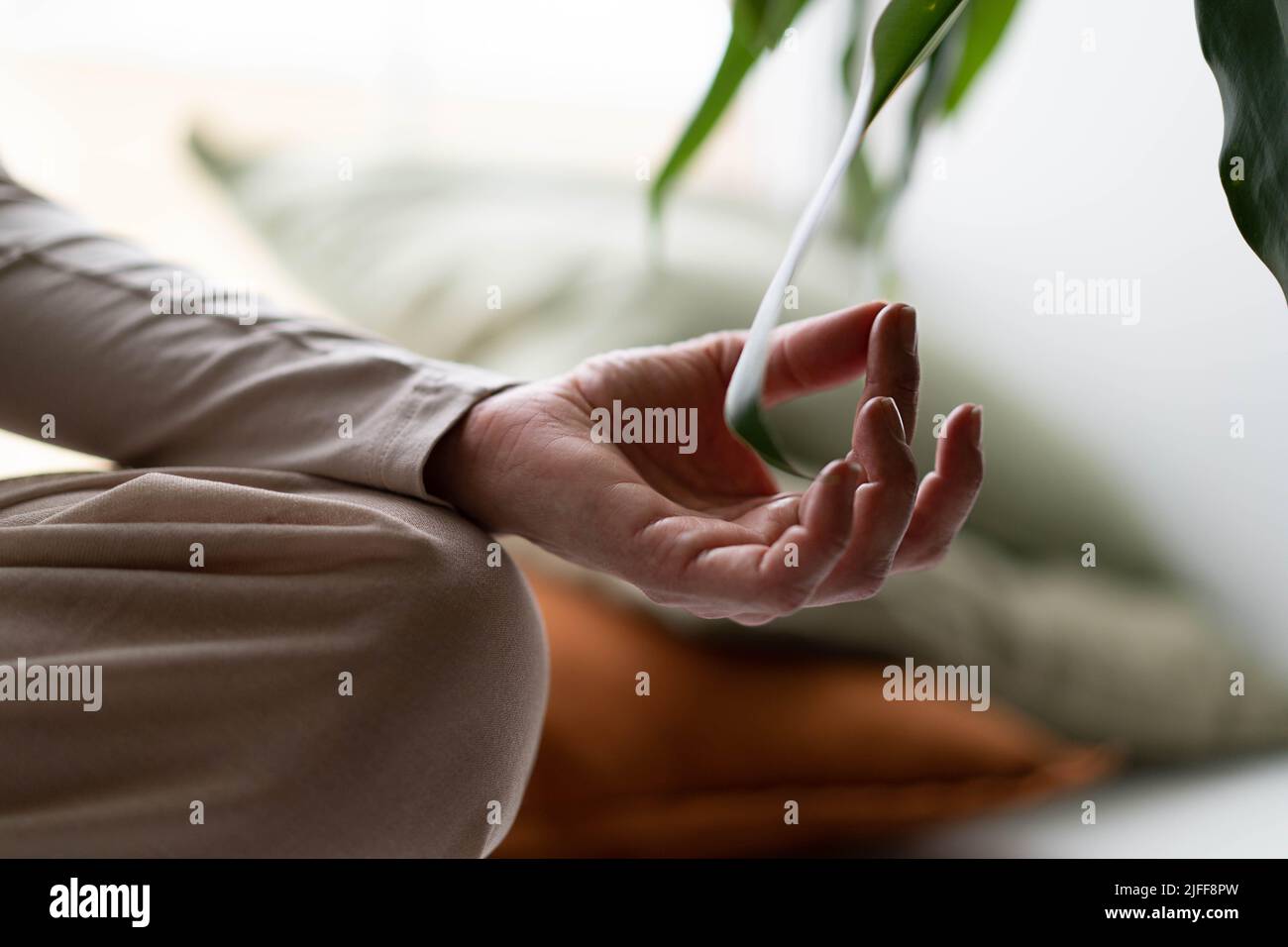 Close-up photo, front view, of a girl doing giyana mudra in meditation. Home interior, concept of yoga, pacification, self-discovery. Stock Photo