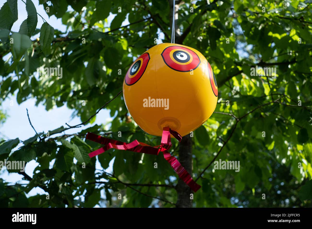 Scare-eye balloon or bird scare ball. Inflated scare-eye bird repellent balloons moving in wind efficiently repel common unwanted pest birds Stock Photo