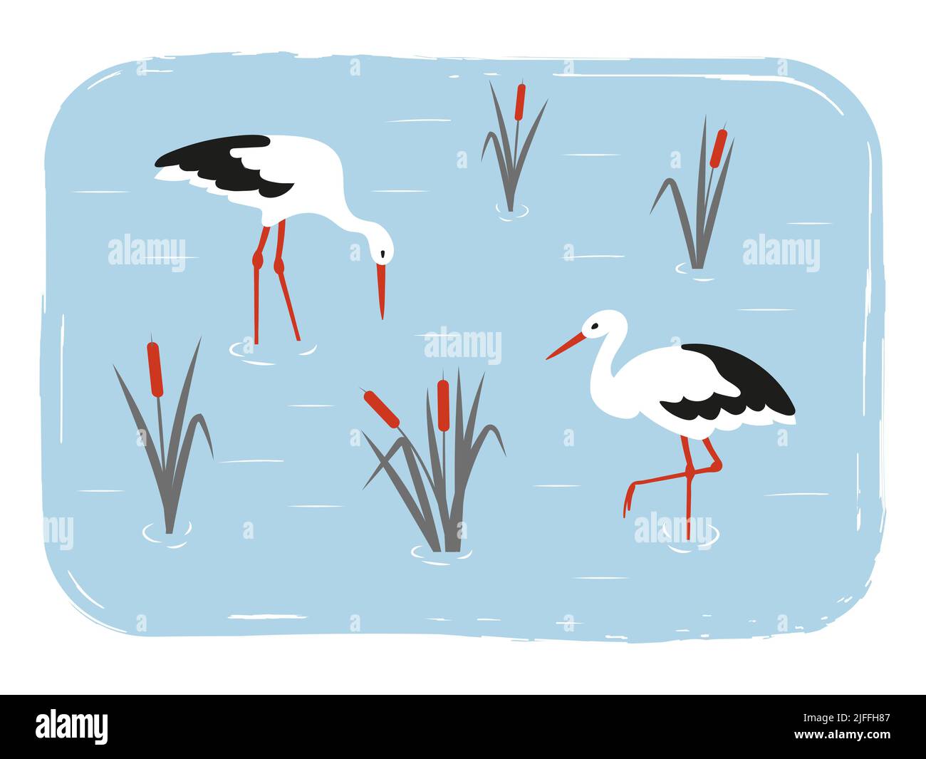 Cute storks birds in the swamp. Simple flat vector illustration of wetland. Stock Vector