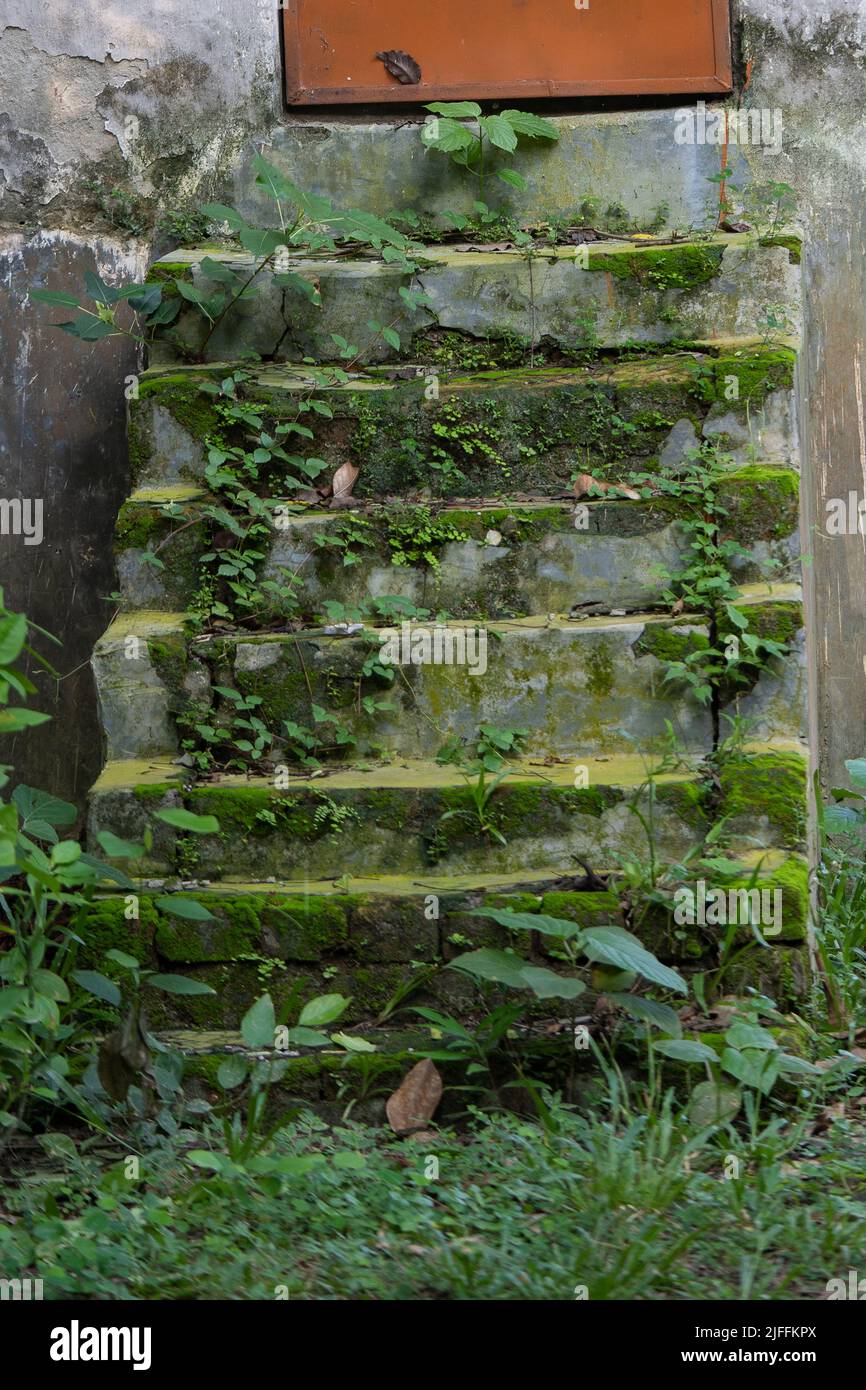 old concrete stair in a park Stock Photo