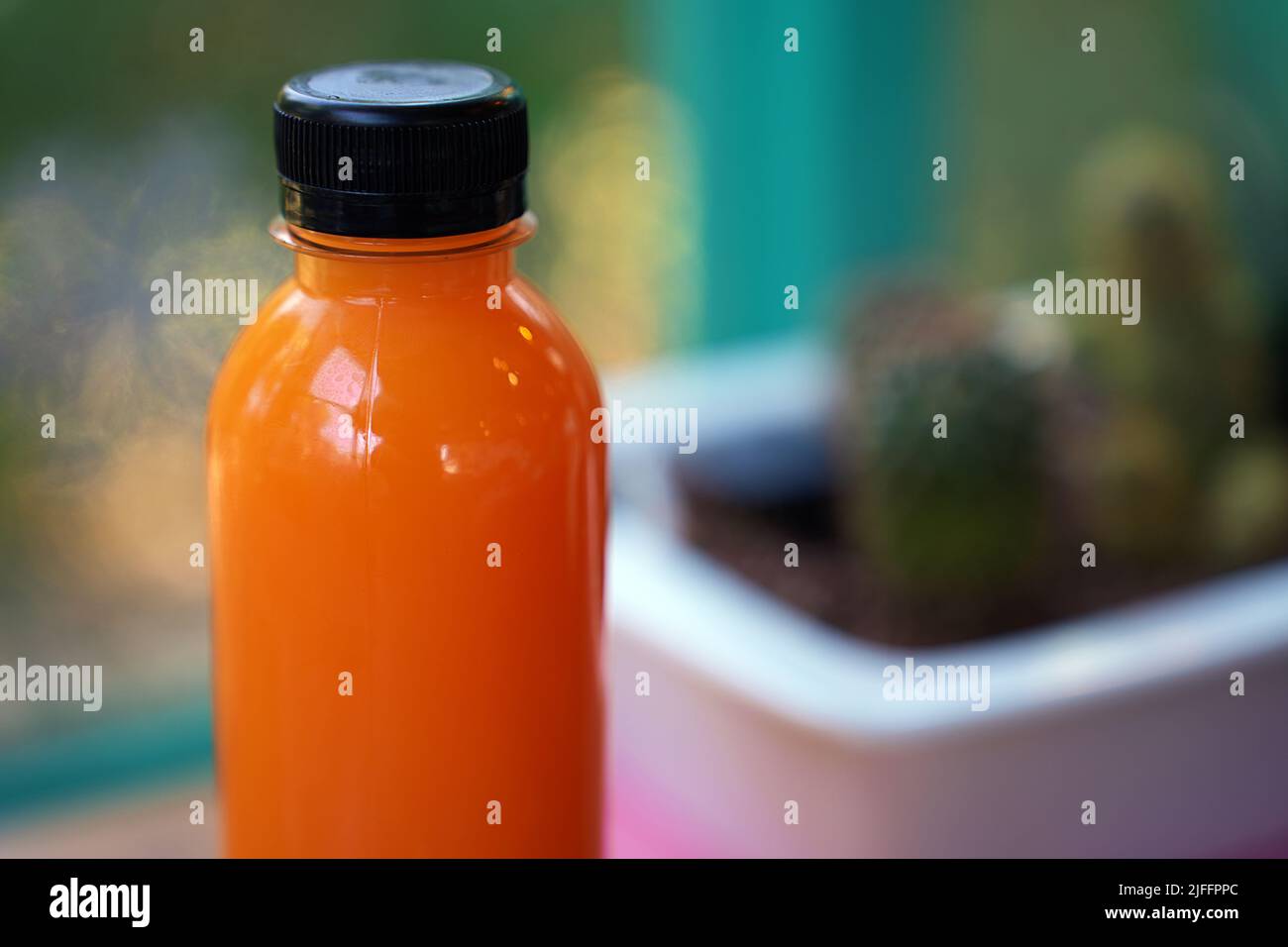 Fresh orange juice in the bottle, fruit juice to cool down, cactus tree