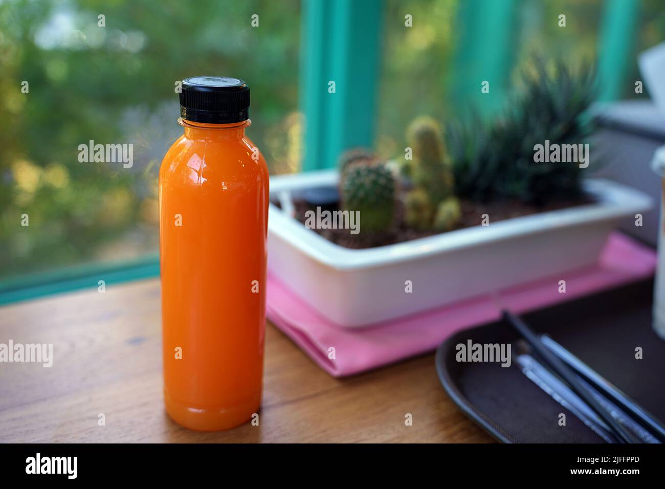 Fresh orange juice in the bottle, fruit juice to cool down, cactus tree