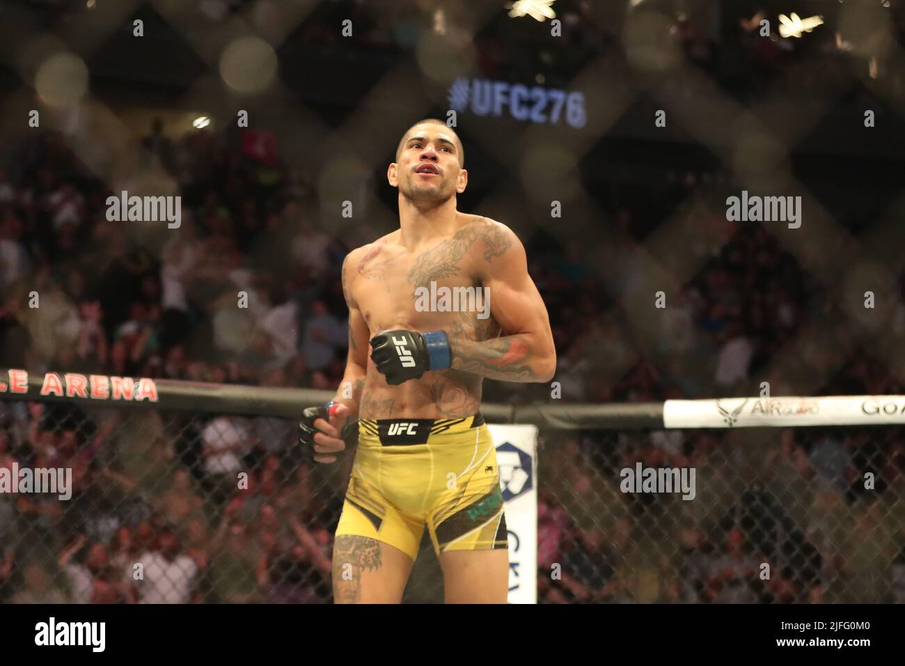 Las Vegas, United States. 02nd July, 2022. LAS VEGAS, NV - JULY 2: Alex Pereira celebrates his victory over Sean Strickland in their Middleweight bout during the UFC 276 at the T-Mobile Arena on July 2, 2022 in Las Vegas, Nevada, United States. (Photo by Alejandro Salazar/PxImages) Credit: Px Images/Alamy Live News Stock Photo